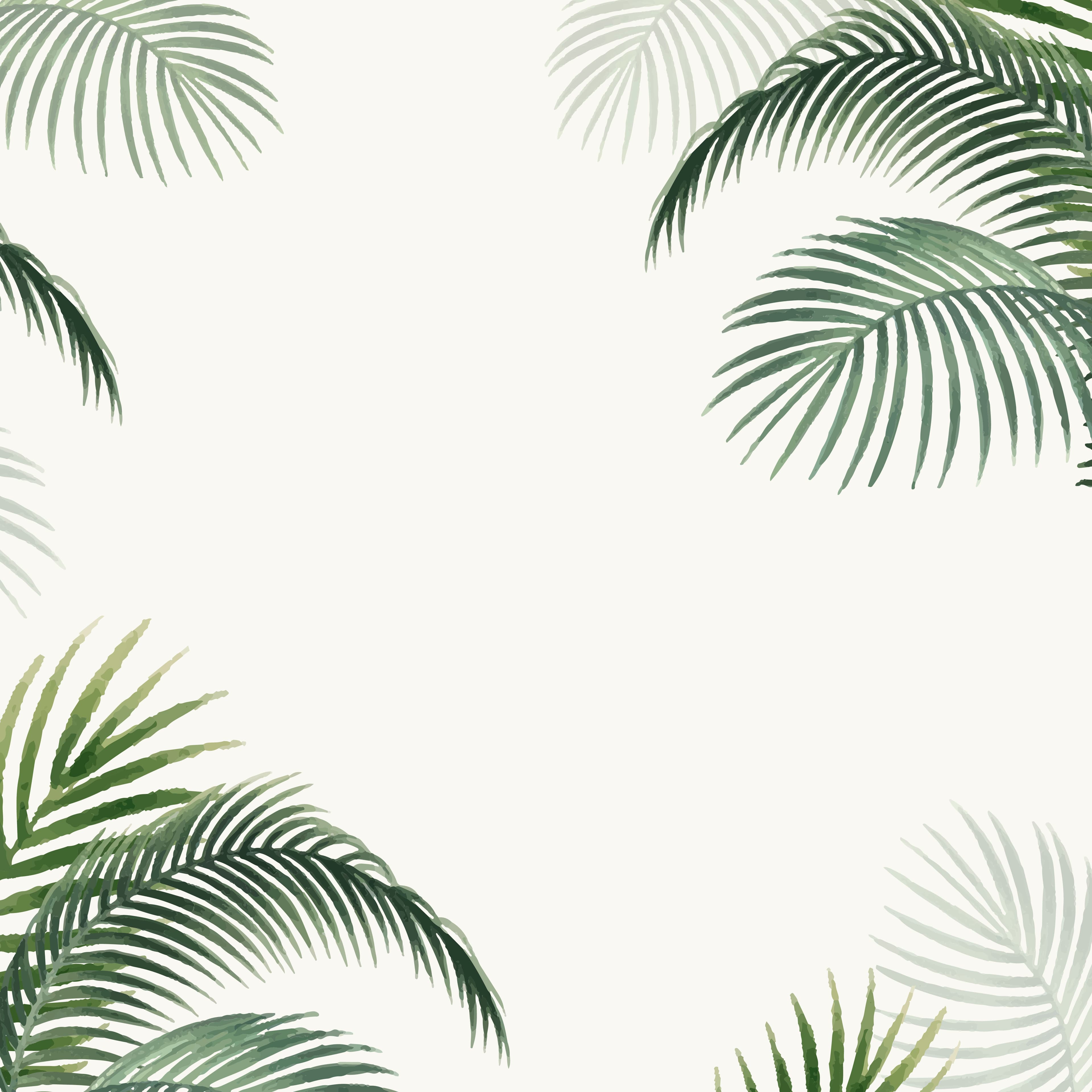 Palm Pattern